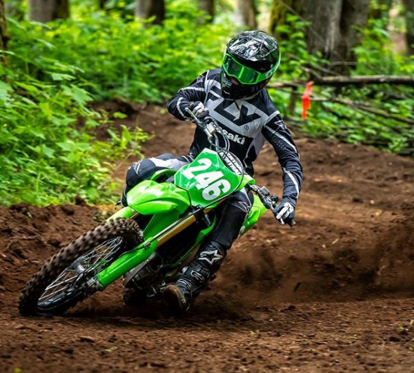 KX250X - Image 3