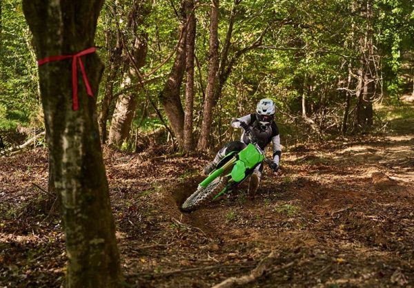 KX450X - Image 4